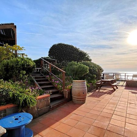Le Dune Sea View Apartments - Futura Cav San Vincenzo Exterior foto